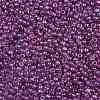 TOHO Round Seed Beads SEED-XTR08-0205-2