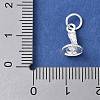 925 Sterling Silver 3D Chinese Zodiac Charms STER-P066-01S-06-3