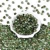 Picasso Transparent Glass Beads SEED-Q039-04E-2
