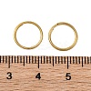 Iron Split Rings IFIN-XCP0001-38-3