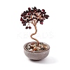 Natural Garnet Chips Tree Decorations DJEW-M012-02N-1