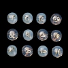 Handmade Lampwork Beads LA-CBADB44-01-1