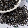 MIYUKI Round Rocailles Beads X-SEED-G008-RR4556-1
