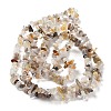 Natural Botswana Agate Beads Strands LS-G-E607-A10-2