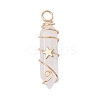2Pcs 2 Styles Natural Quartz Crystal Double Terminated Pointed Pendants PALLOY-JF03122-05-3