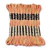 10 Skeins 6-Ply Polyester Embroidery Floss OCOR-K006-A24-1