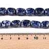 Natural Blue Spot Jasper Beads Strands G-T138-101-5