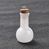 Glass Pendants LS-GLAA-P053-01A-05-2