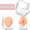 Soft Silicone Tongue Flexible Model Body Part Displays with Acrylic Stands ODIS-WH0002-23-2