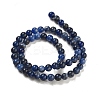 Sodalite Round Bead Strands G-P070-46-6mm-4