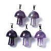Natural Amethyst Pendants G-N0325-10D-1