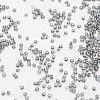 6/0 Transparent Glass Round Seed Beads X-SEED-J010-F6-40-3
