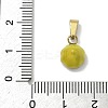 304 Stainless Steel Enamel Fruit Vegetable Charms STAS-F336-02B-G-3