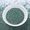 MIYUKI Delica Beads X-SEED-J020-DB0432-2
