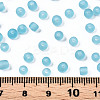 Glass Seed Beads E01MA044-4