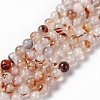 Natural Dendritic Agate Beads Strands X-G-C011-01A-1