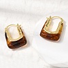 Brass Resin Hoop Earrings EJEW-P333-11B-G02-3