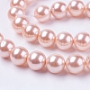 Shell Pearl Beads Strands X-BSHE-L035-6mm-I01-1