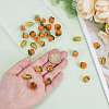 30Pcs 5 Styles Glass & Lampwork Pendants PALLOY-AR00021-3