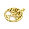 Rack Plating Brass Micro Pave Cubic Zirconia Pendants KK-C074-05G-2