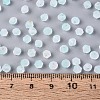 Frosted Glass Seed Beads SEED-N012-01C-4