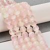Natural Selenite Dyed Beads Strands G-P493-02J-2