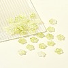 30Pcs Baking Paint Glass Beads GLAA-FS0001-97F-9