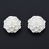 ABS Plastic Imitation Pearl Beads KY-N015-30-2