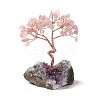 Natural Rose Quartz Tree Display Decoration DJEW-G027-05RG-02-2