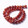 Natural Red Agate Beads Strands G-P434-09C-B-1