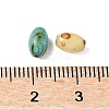 60Pcs 10G Baking Paint Picasso Glass Seed Beads GLAA-V001-06-3