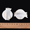 Natural Freshwater Shell Big Pendants SHEL-N038-17-4