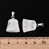 Natural Quartz Crystal Pendants G-N349-15P-08-4
