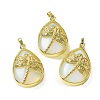 Opalite Pendants G-G900-01G-05-1