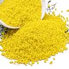 Frosted Colours Glass Seed Beads SEED-H003-06B-1