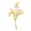 Rack Plating Brass Cubic Zirconia Pendants KK-S396-33G-1