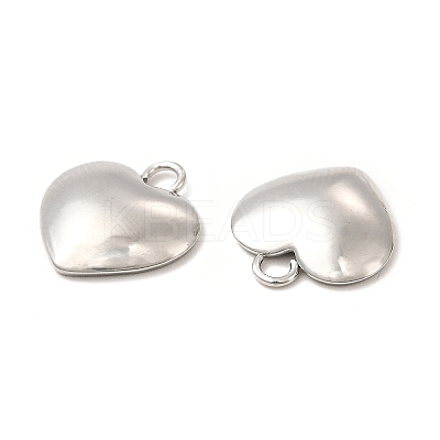 Non-Tarnish 304 Stainless Steel Charms STAS-A070-30P-1