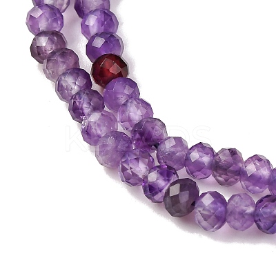Natural Amethyst Beads Strands G-N342-24-01-1