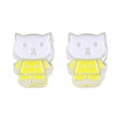 Transparent Acrylic Enamel Beads TACR-N012-005G-1