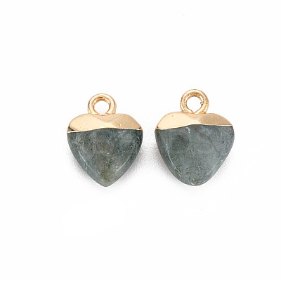 Natural Labradorite Charms G-N326-121-05-1