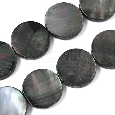 Natural Black Lip Shell Beads Strands BSHE-D300-05-20mm-1