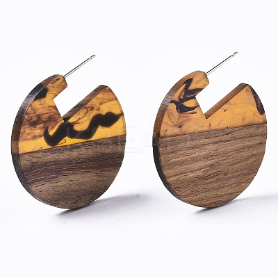 Transparent Resin & Walnut Wood Stud Earrings EJEW-T010-01-1