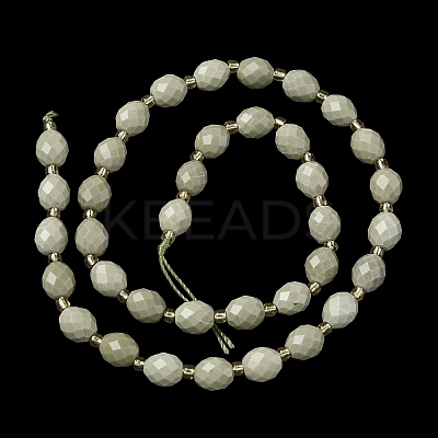 Natural Alashan Agate Beads Strands G-F809-A10-01-1