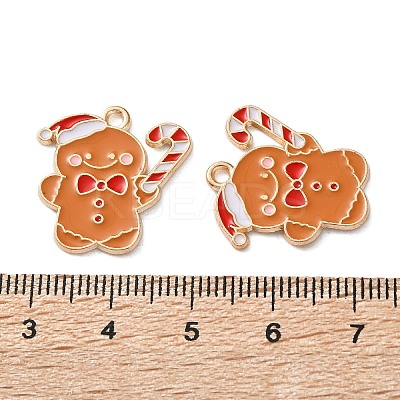 Alloy Enamel Pendants ENAM-I061-01KCG-11-1