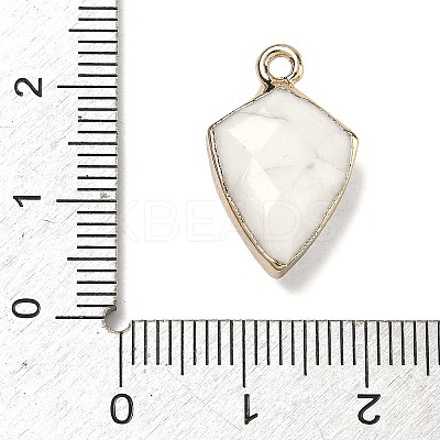 Natural Howlite Pendants G-K422-01G-09-1