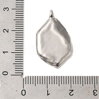 Non-Tarnish 304 Stainless Steel Pendants STAS-N103-66P-1