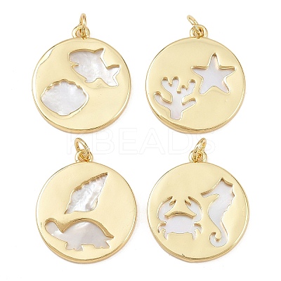 Natural Shell Pendants KK-L251-44G-B-1