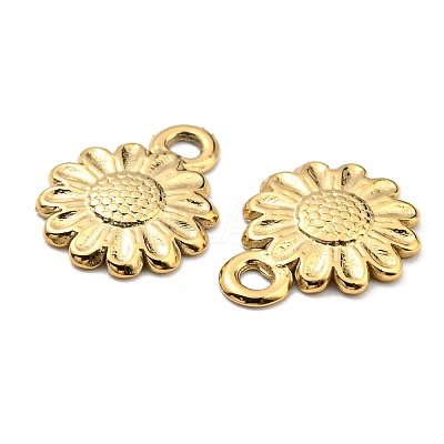304 Stainless Steel Charms STAS-R124-01G-1