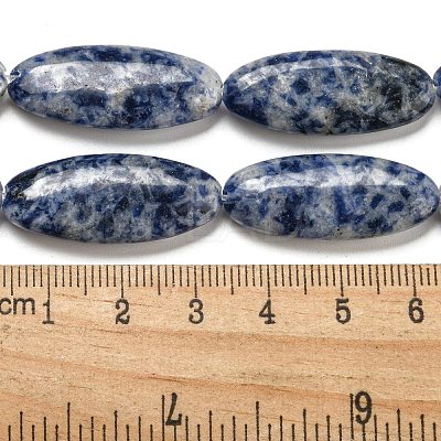 Natural Blue Spot Jasper Beads Strands G-B078-E07-01-1