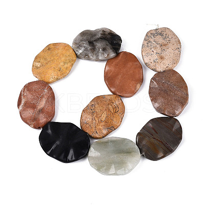 Natural Gemstone Beads Strands G-T143-21C-1